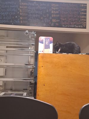  at Marvelous Vegan Plant Power Food in Bogota