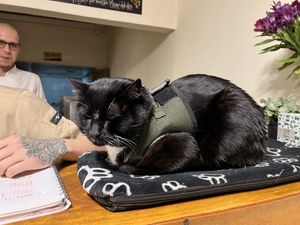  #Veganuary at Marvelous Vegan Plant Power Food in Bogota