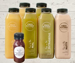 1 Day Seeker Cleanse at Free Range Juice in Williamsburg
