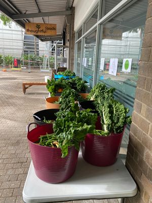 Weekly produce boxes   at Thoughtful Foods in Kensington