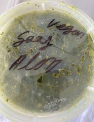 Exactly what it says   at Amma's Kitchen in Cincinnati