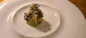 Rosti at Aurora in Edinburgh