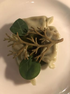   at Aurora in Edinburgh