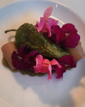  at Aurora in Edinburgh