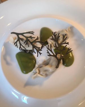  at Aurora in Edinburgh