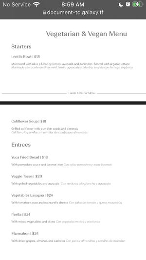 Vegetarian & Vegan menu section  at Luna Muna at Ibagari in Roatan