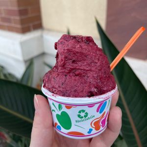 mixed berry gelato   at Pappalecco - Hillcrest in San Diego