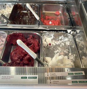 vegan gelatos with labels   at Pappalecco - Hillcrest in San Diego