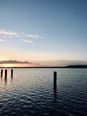 in the neighborhood at the wonderful "Müggelsee" at unverpackt berlin in Berlin