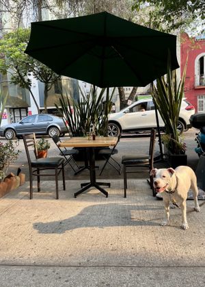 pet-friendly patio   at Fresh & Co in Mexico City
