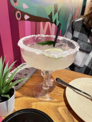   at Penelope's Vegan Taqueria in Chicago