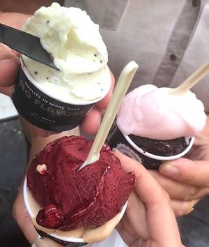 Kiwi, Chocolate-Orange, Blueberry, Grapefruit, Hazelnut   at Gelateria Della Palma in Rome