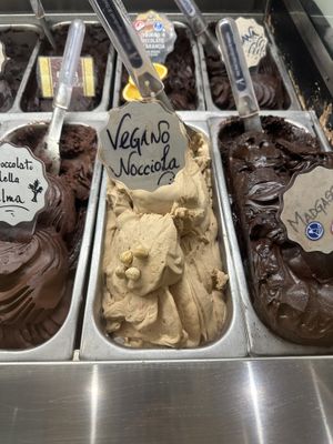 Vegano   at Gelateria Della Palma in Rome