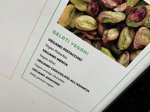 vegan flavours at Gelateria Della Palma in Rome