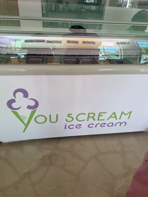  #Veganuary at You Scream Ice Cream in Hermanus