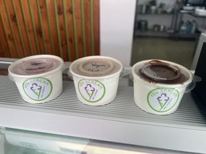  #Veganuary at You Scream Ice Cream in Hermanus