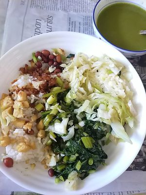 Lei Cha (messed up on my plate) at En Cheng Vegetarian 恩成素 - Maybe closed in Northeast Singapore