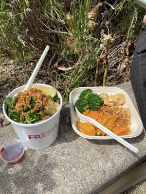 Veggie Pho and Coconut Curry Rice Bowl  at Fresh in Norwich