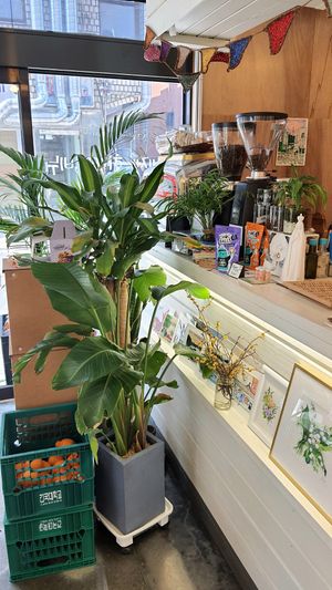 fresh seasonal produce at 1.5 do C  in Seoul