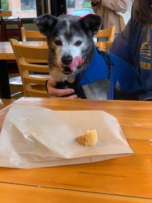  at Mighty-O Donuts - Greenlake in Seattle