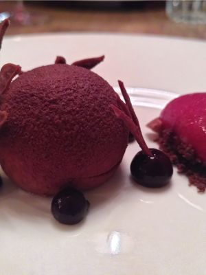 Dessert with chocolate, sweet and sour cherries at Kopps in Berlin