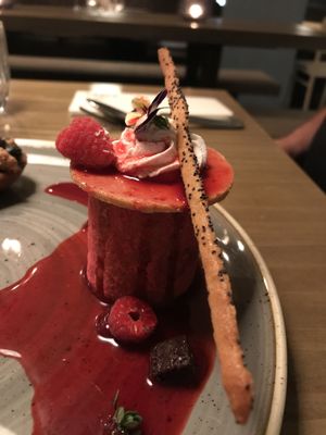 incredible raspberry sorbet at Kopps in Berlin