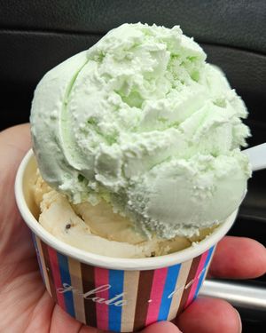 Mint chip and cookie dough at ThimbleCakes in Ottawa