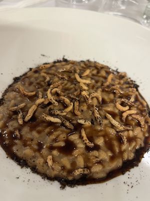   at Mutty in Castiglione Delle Stiviere