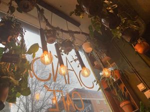 Plants and warmly glowing lightbulbs hanging from the front window. at Sansa in Malmo