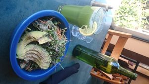 Inside 1 at cafegSC in Santa Cruz