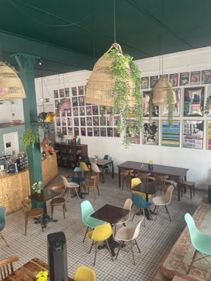   at Samambaia in Lisbon