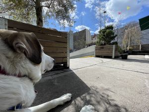 Great place for sunny days  at Pala in Berlin