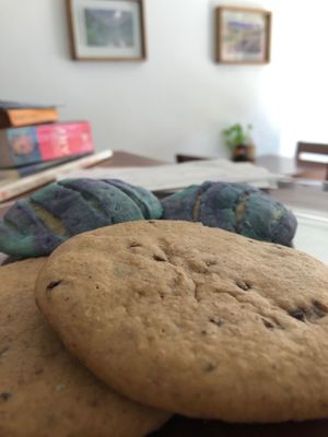 Concha y galleta de vainilla con nibs de cacao basadas en plantas at Hipatia Café in Guadalajara