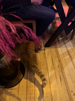   at NAKKA in Istanbul