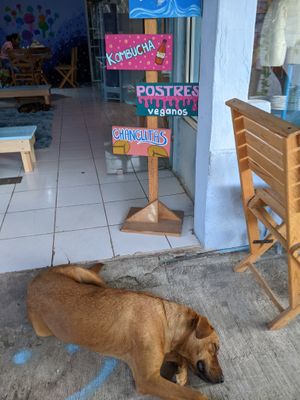  at Azul in Puerto Vallarta