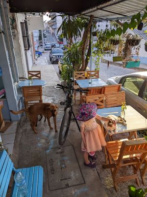  at Azul in Puerto Vallarta