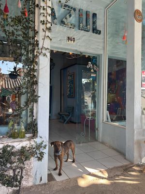   at Azul in Puerto Vallarta