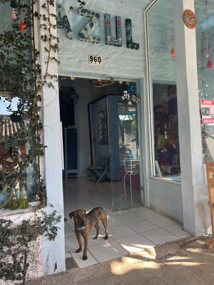   at Azul in Puerto Vallarta