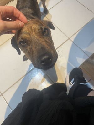   at Azul in Puerto Vallarta