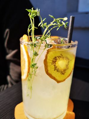  at PlantEat /it/ in Constanta