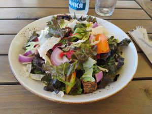 Gardener's Salad at Fish and Grill Dunava in Vidin