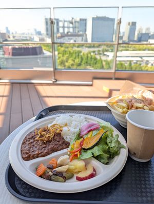 vegan soy meat curry in the rooftop at Miraikan Kitchen in Tokyo