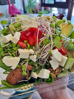  at Gone Juicing Cafe in New Port Richey