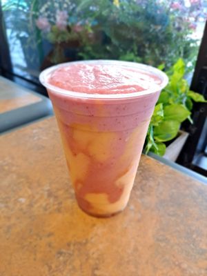  at Gone Juicing Cafe in New Port Richey