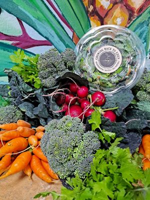  at Gone Juicing Cafe in New Port Richey