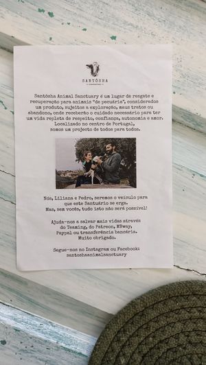  at Amora Silvestre in Castelo Branco