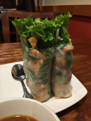 Spring Roll Appetizer at Blossom Vegetarian in Renton