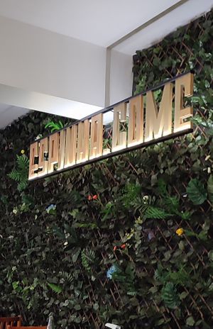  at Espinha.come in Sao Miguel