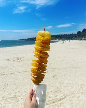 Vegan Twisted Potato  at The Wheel Cafe Geelong in Geelong