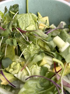 Green Salad  at Cote in Henley-on-thames